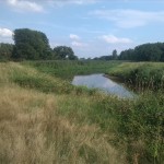 22a-Schwarze Elster Westlich Jessen (1)