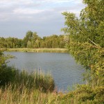 24-Hufeisensee Westufer Blick Nach Osten Zu Innenkippe