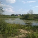 24a-Schwarze Elster Altlauf Blick Zu Wasserschloss Gorsdorf Hemsendorf (1)