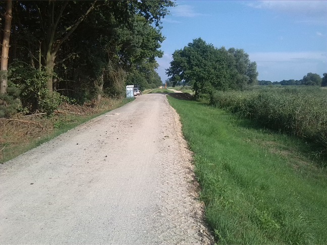 25a-Schwarze Elster Altlauf Deichverlauf Nördlich Gorsdorf Hemsendorf (2)