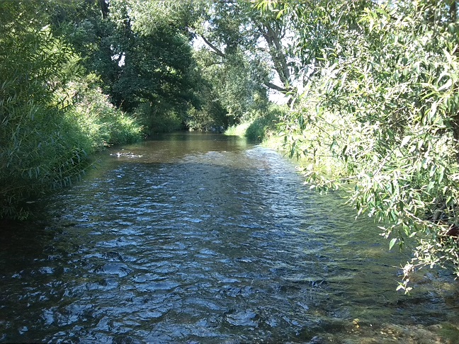 27a-Heringen Mündungsgebiet Zorge In Helme Blick Nach Westen In Zorge Unmittelbar Westlich Einmündung In Helme (1)