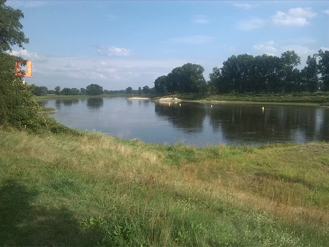 29a-Elster Blick Elbe Stromaufwärts (1)