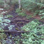 2a-Zweite Quelle Selke Am Weg Von Stiege Nach Albrechtshaus (1)