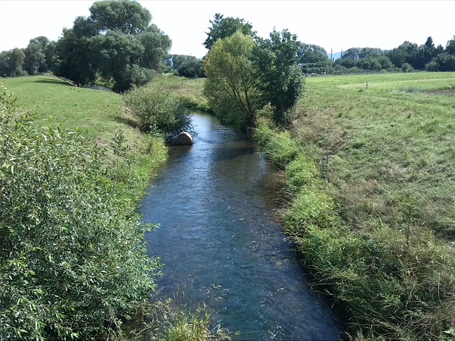 30a-Heringen Nordöstlich Ortslage Blick Von Brücke Görsbacher Straße Zorgeabwärts In Richtung Mündungsgebiet In Helme Nach Südosten (2)