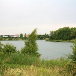 31-Hufeisensee Westufer Blick Nach Norden