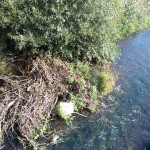 31a-Heringen Nordöstlich Ortslage Blick Von Brücke Görsbacher Straße Zorgeabwärts Nach Südosten (2)