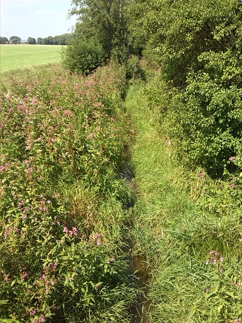 32a-Heringen Nordöstlich Ortslage Blick Von Brücke Görsbacher Straße Krumbachaufwärts Nach Nordwesten (1)