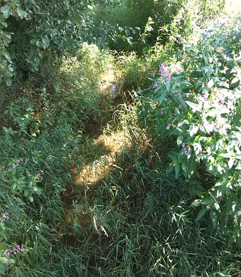 33a-Heringen Nordöstlich Ortslage Blick Von Brücke Görsbacher Straße Krumbachabwärts In Richtung Einmündung In Zorge Nach Südosten (1)