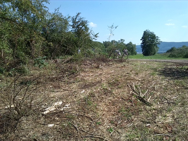 39a-Berga-Kelbra Entlang Weg Zwischen Rieth & Nebenhelme Blick Nach Südosten In Richtung Kyffhäuser (1)
