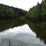 3a-Ellerteich Blick Nach Südwesten (2)