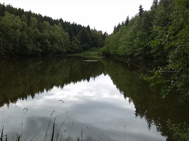 3a-Ellerteich Blick Nach Südwesten (2)