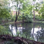 3a-Halle Amselgrund Blick Nach Süden Auf Mittleren Teich (1)