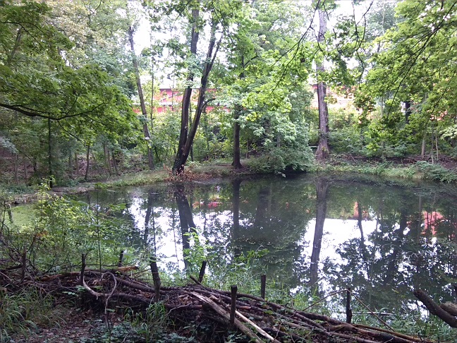 3a-Halle Amselgrund Blick Nach Süden Auf Mittleren Teich (1)