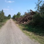 41a-Berga-Kelbra Blick Von Einmündung Kuhriethgraben In Nebenhelme Nach Nordosten (2)