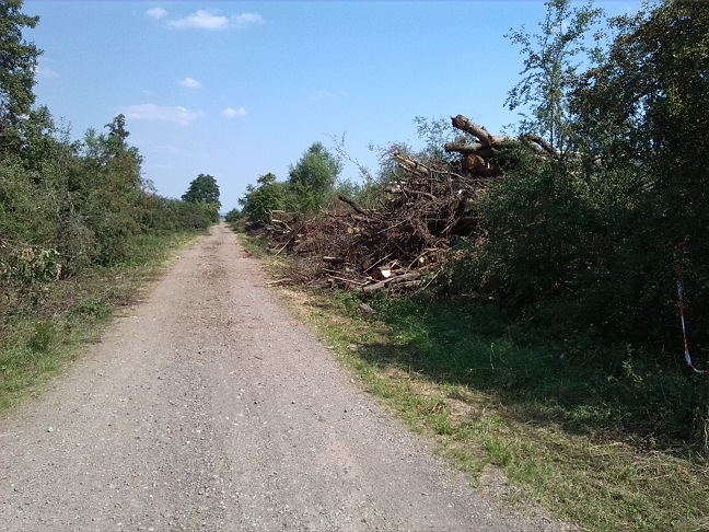 41a-Berga-Kelbra Blick Von Einmündung Kuhriethgraben In Nebenhelme Nach Nordosten (2)