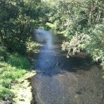 45a-Berga-Kelbra Brücke Zwischen Talsperre Kelbra & Neue Kiesgruppe Blick Thyra Aufwärts Zu Einmündung Sielgraben Nach Nordwesten (1)