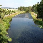 47a-Berga-Kelbra Blick Von Brücke Kyffhäuser Kleinbahn Helmeabwärts Nach Nordosten (1)