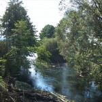 48a-Berga-Kelbra Blick Von Brücke Kyffhäuser Kleinbahn Helmeaufwärts Mit Einmündung Thyra Nach Südwestensten (1)