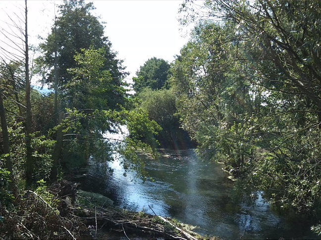 48a-Berga-Kelbra Blick Von Brücke Kyffhäuser Kleinbahn Helmeaufwärts Mit Einmündung Thyra Nach Südwestensten (1)