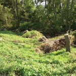 49a-Berga-Kelbra Thyra Vor Einmündung In Helme Blick Nach Südosten (1)