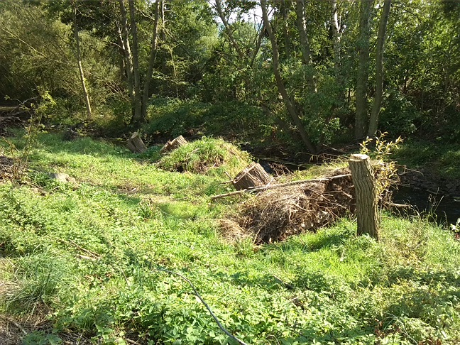 49a-Berga-Kelbra Thyra Vor Einmündung In Helme Blick Nach Südosten (1)