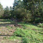 50a-Berga-Kelbra Thyra Blick Zu Einmündung In Helme Nach Südosten (2)