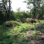 51a-Berga-Kelbra Thyra Vor Einmündung In Helme Blick Nach Westen (1)