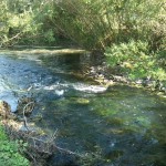 52a-Berga-Kelbra Einmündung Thyra In Helme Blick Nach Südosten (3)