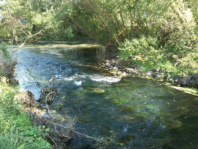 52a-Berga-Kelbra Einmündung Thyra In Helme Blick Nach Südosten (3)