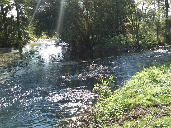 53a-Berga Kelbra Einmündung Thyra In Helme Blick Nach Westen (1)