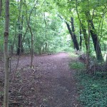 5a-Halle Amselgrund Weg Zwischen Oberen & Mittleren Teich Blick Nach Süden (2)