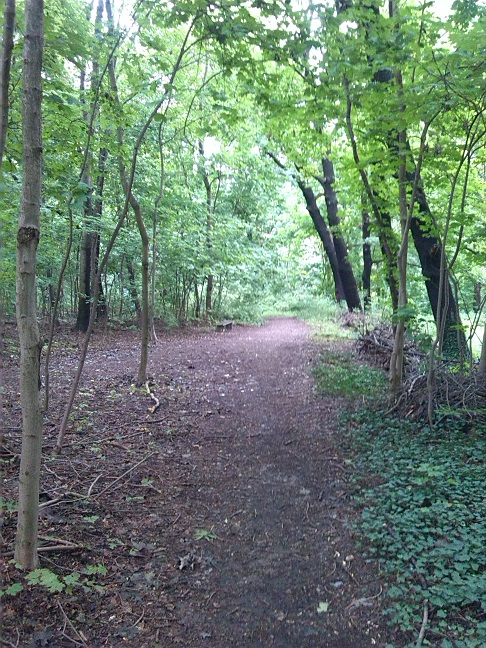 5a-Halle Amselgrund Weg Zwischen Oberen & Mittleren Teich Blick Nach Süden (2)