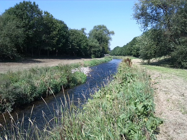5a-Nordhausen Am Ende Des Strohmühlenweges Blick Zorgeaufwärts Nach Nordwesten In Richtung Brücke Thomas-Müntzer-Straße (1)