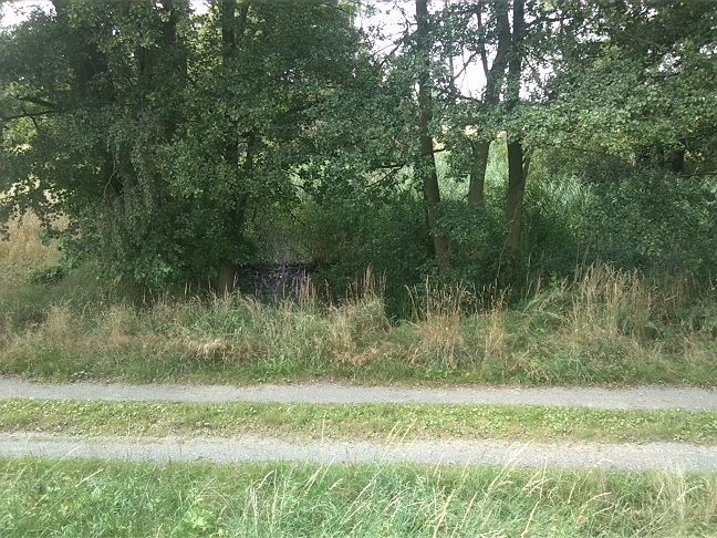 5a-Schwarze Elster Nördlich Kleinrössen Altverlauf (1)
