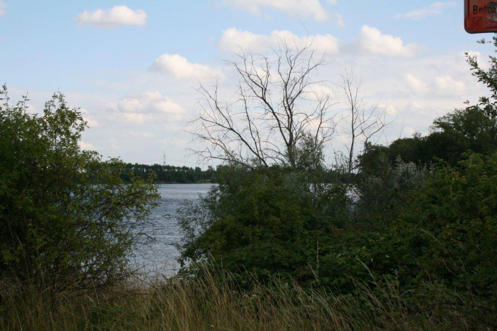 6-Hufeisensee-Blick Von Nordwestecke Nach Südosten