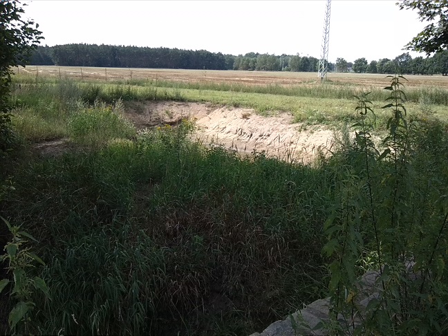 7a-Blick Über Scheidelache Nach Süden Zu Feuchtgebiet Zwischen Uebigau & Bomsdorf (1)