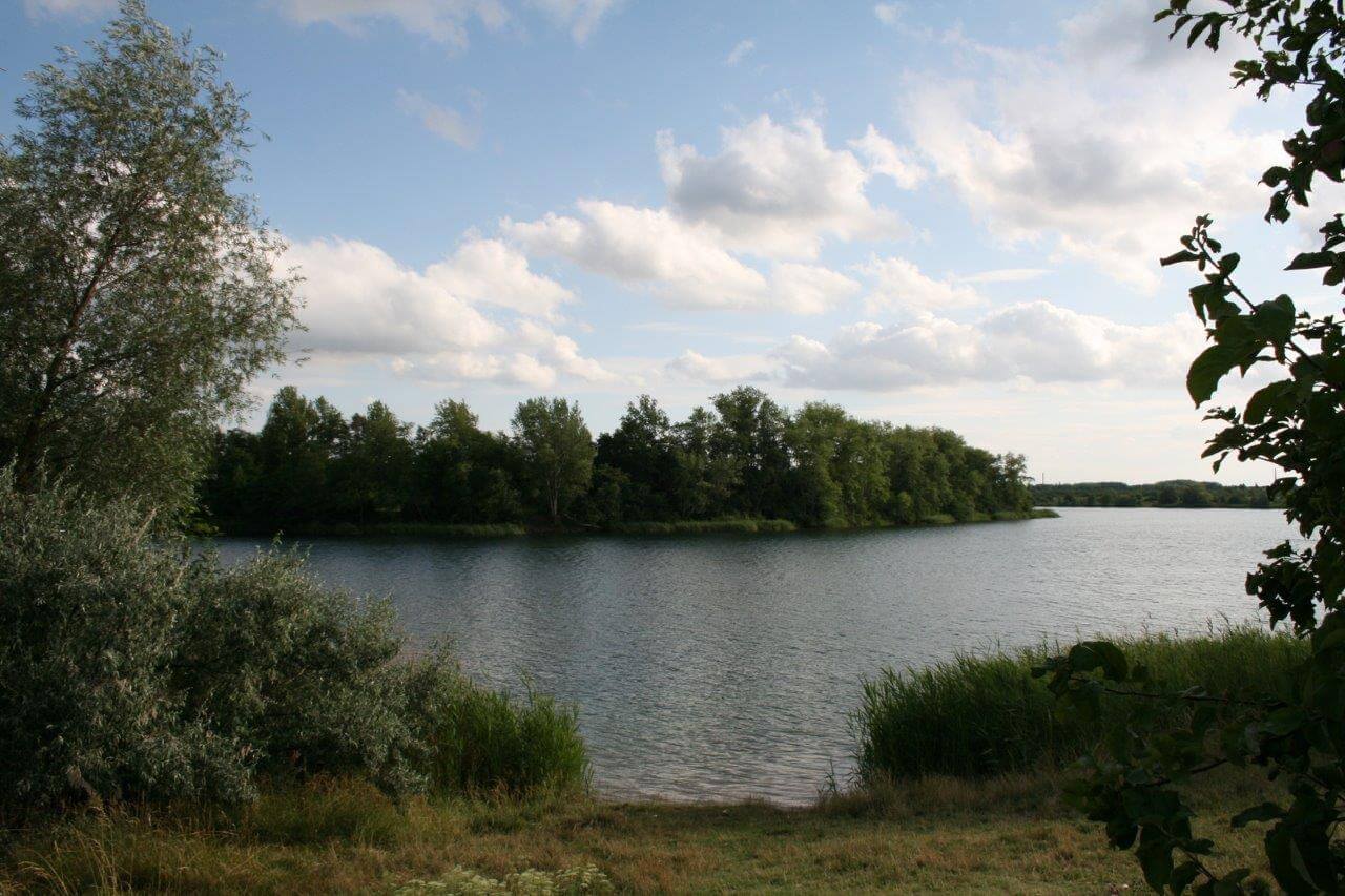 8-Hufeisensee-Blick Von Norden Nach Süden Zur Innenkippe