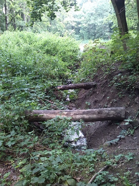 8a-Halle Amselgrund Überlauf Unterer Teich Blick Nach Osten (2)