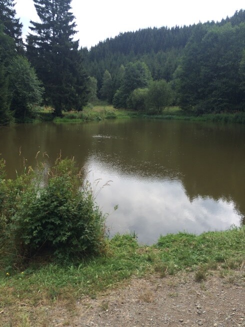 8a-Katzsohlteich Blick Nach Süden