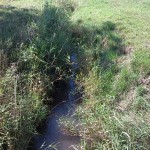 8a-Nordhausen Am Ende Des Strohmühlenweges Mündungsgebiet Roßmannsbach Blick Zu Zorge Nach Süden (1)