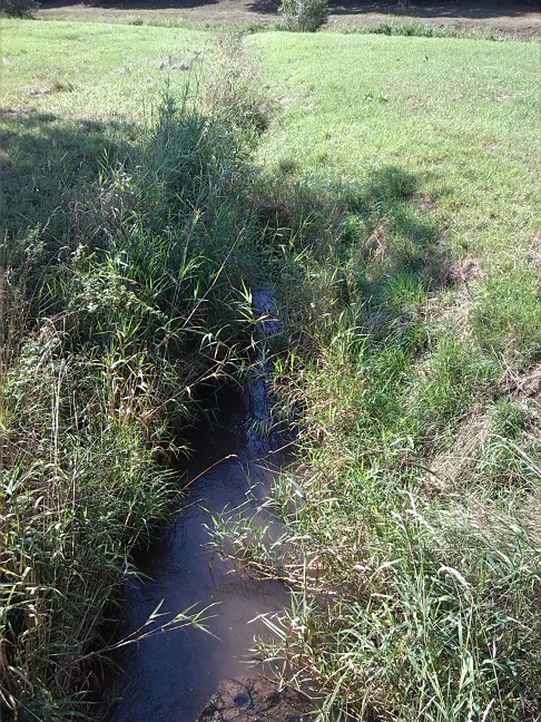 8a-Nordhausen Am Ende Des Strohmühlenweges Mündungsgebiet Roßmannsbach Blick Zu Zorge Nach Süden (1)