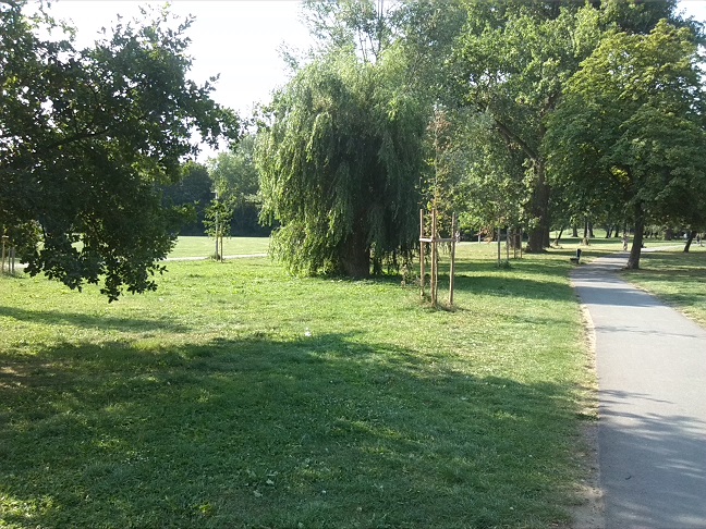 8a-Nordteil Ziegelwiese Blick Nach Süden (1)