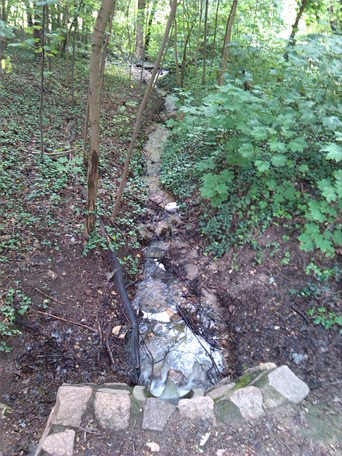 9a-Halle Amselgrund Überlauf Unterer Teich Blick Nach Osten (1)