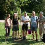 Reparatur der Beschädigungen auf der Ziegelwiese - freiwillige Helfer (01)