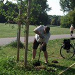 Reparatur der Beschädigungen auf der Ziegelwiese (01)