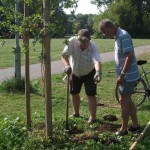 Reparatur der Beschädigungen auf der Ziegelwiese (02)