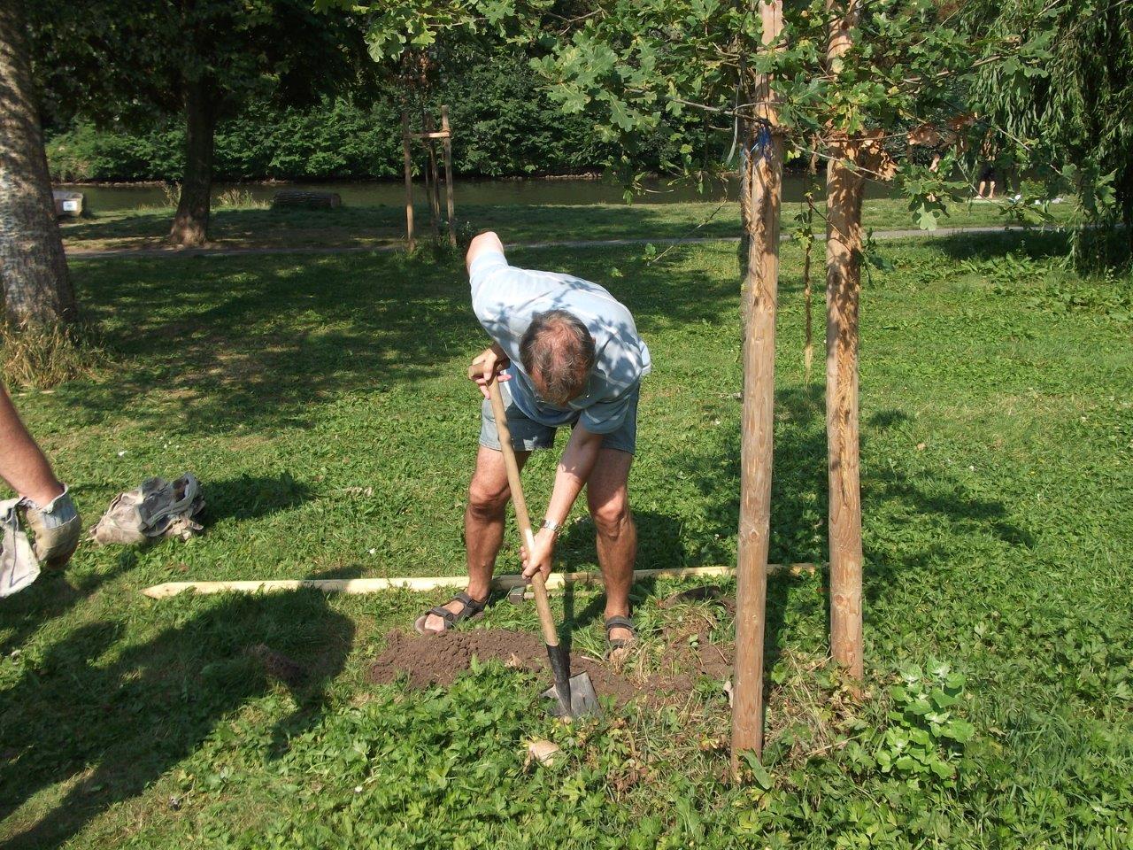 Reparatur der Beschädigungen auf der Ziegelwiese (03)