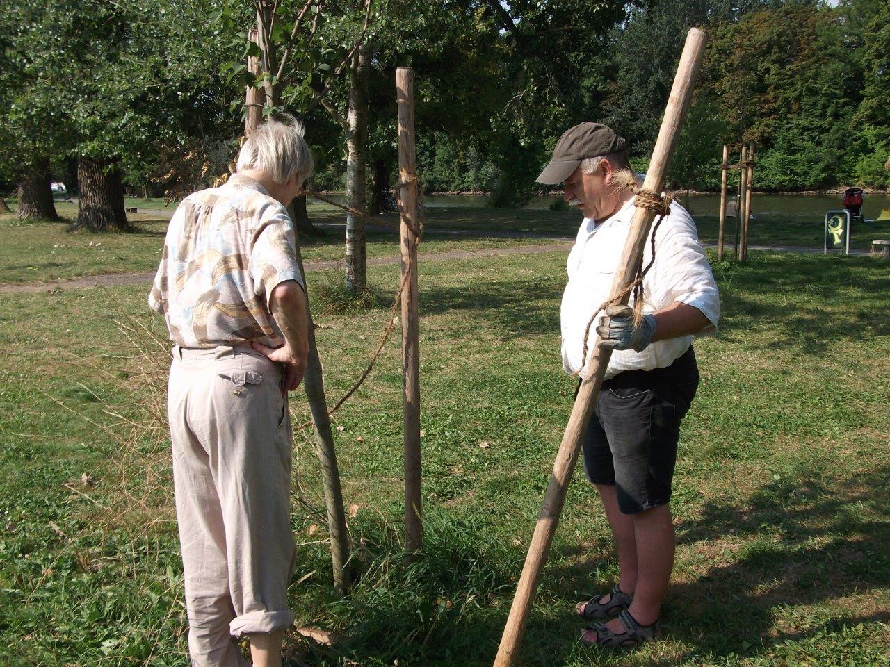 Reparatur der Beschädigungen auf der Ziegelwiese (04)