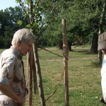 Reparatur der Beschädigungen auf der Ziegelwiese (05)