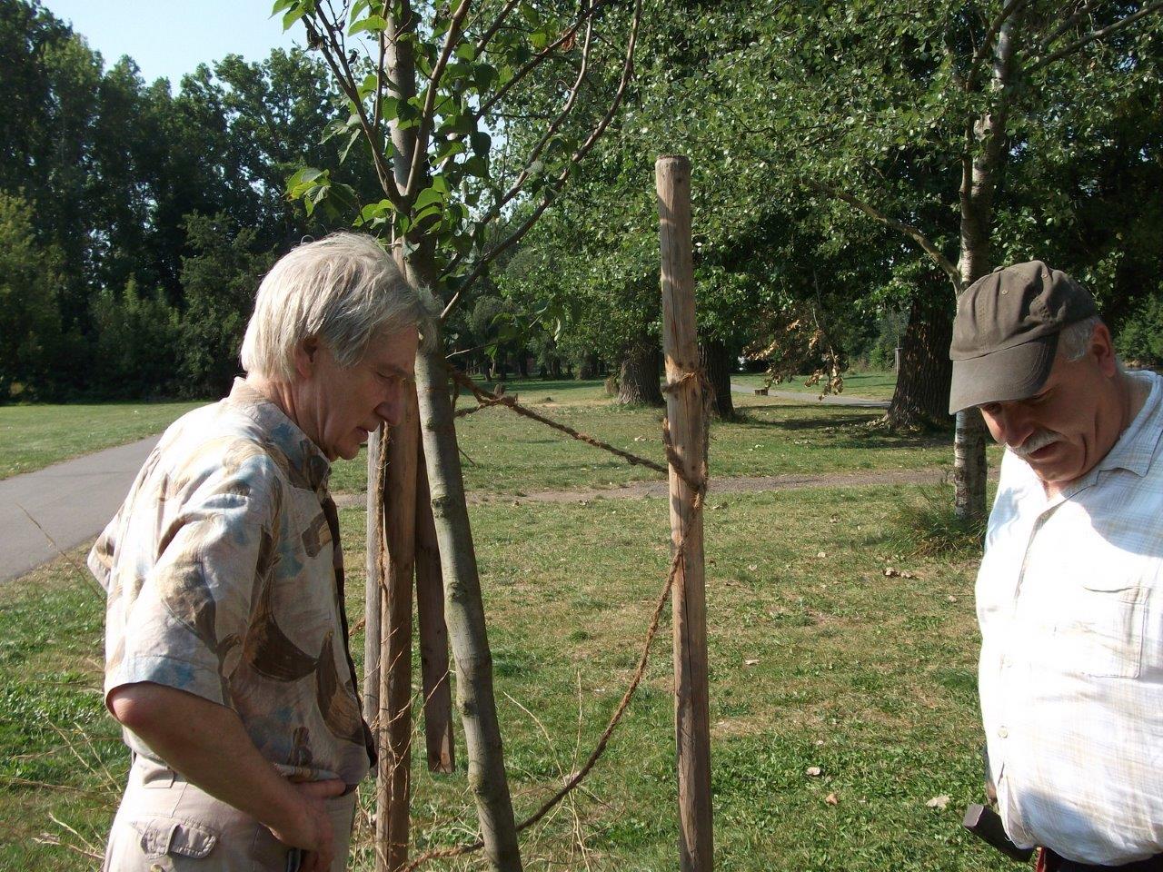 Reparatur der Beschädigungen auf der Ziegelwiese (05)